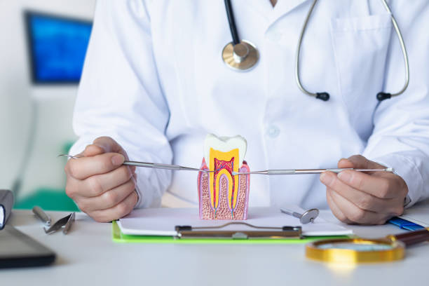 Best Knocked-Out Tooth Emergency  in Salem Heights, OH